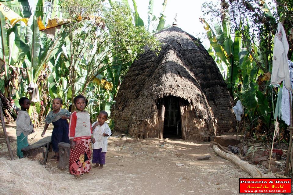 Ethiopia - Wolayta e la falsa banana - 5.jpg